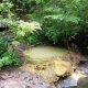 塩沢温泉　湯元山荘の露天風呂の写真