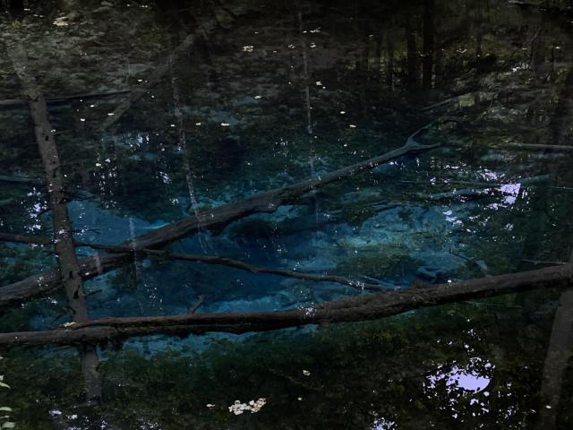 池の湯のイメージ