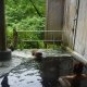 川原湯温泉　水車とムササビの宿 山木館の写真