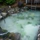 燕温泉 川原の湯 露天風呂の写真