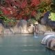 濁河温泉 市営露天風呂の写真