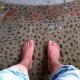 さくらの足湯処画像