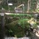 小瀬川温泉の写真